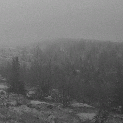 Wintaar : Vintlechkeit - Wintaar